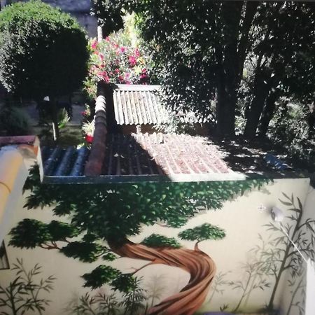 Suite Volupte Classee 3 Etoiles Avec Vue Sur Jardin, Climatisation 蒙彼利埃 外观 照片